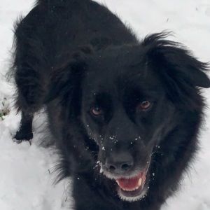 Meet your Posher, Luis